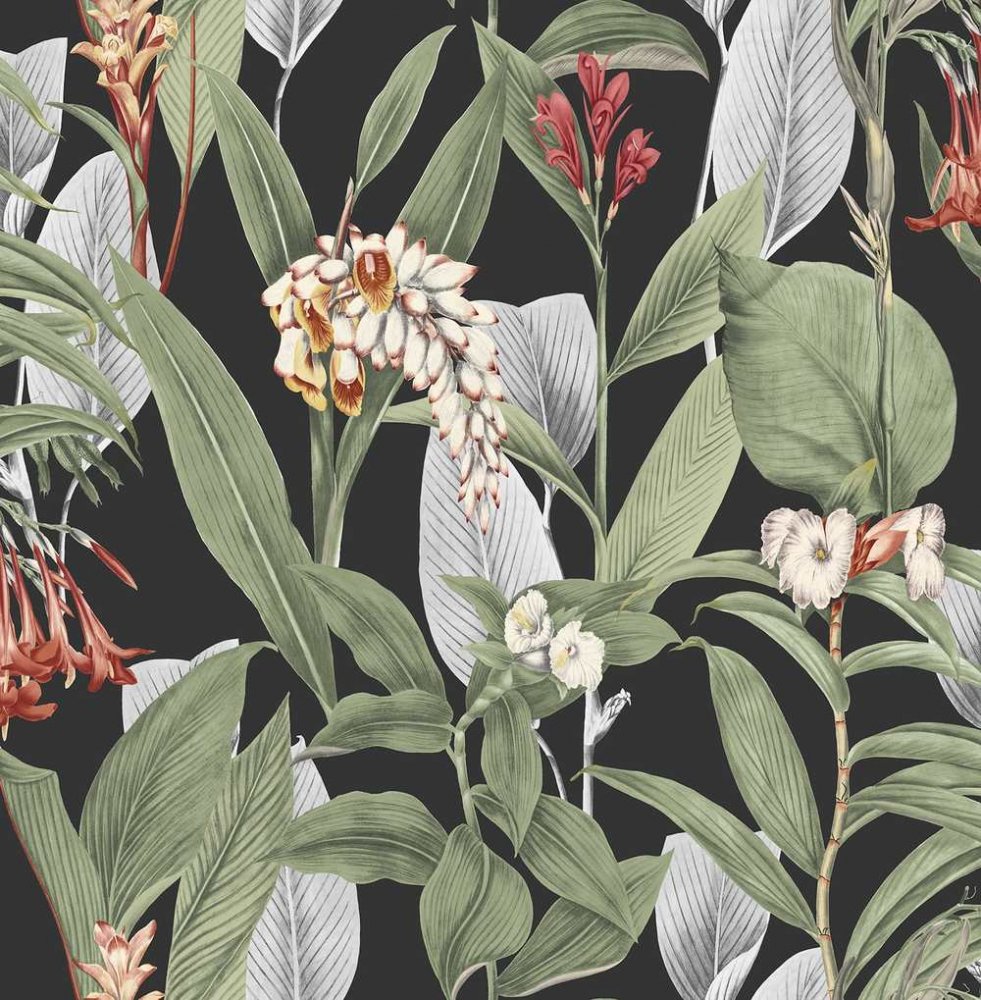 Graham Brown Botanical Black Wallpaper