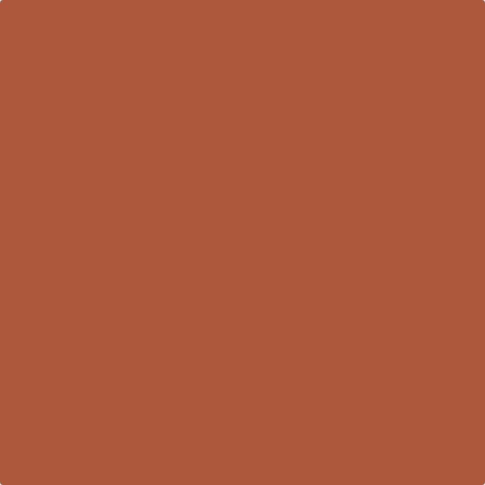 terracotta n asian paints