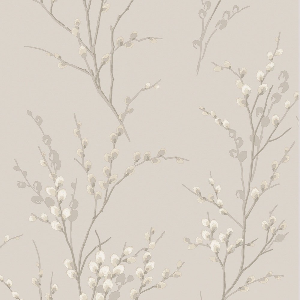 pussy willow off white dove grey