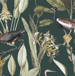 Graham & Brown Glasshouse Green Wallpaper with botanical illustrations and exotic birds