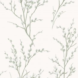 Laura Ashley Pussy Willow Sage Green Wallpaper featuring delicate willow branches and soft catkins in sage green against a light background