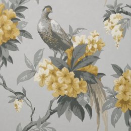 Crown Golden Pheasant Grey/Mustard Wallpaper with a golden pheasant and mustard blossoms on a grey background