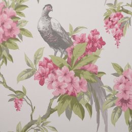 Crown Golden Pheasant Grey/Pink Wallpaper with a golden pheasant and pink flowers on a grey background