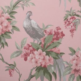 Crown Golden Pheasant Pink Wallpaper featuring a golden pheasant and pink flowers on a pink background