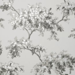 Crown Archive Tree Grey Wallpaper with detailed grey tree branch illustrations