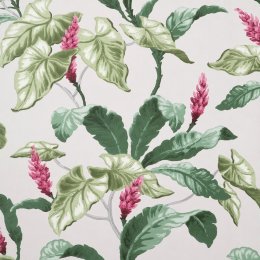 Crown Meridian Parade Grey, Pink and Green Wallpaper in soft grey backdrop with bold leaves and flowers