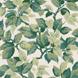 Crown Canopy Green Wallpaper