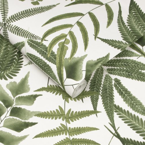 Graham & Brown Midsummer Fern Lush Wallpaper Roll