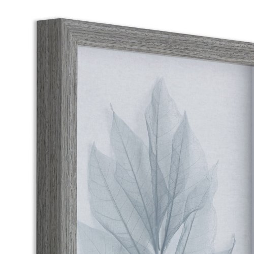 Delicate Leaves Duo Framed Print