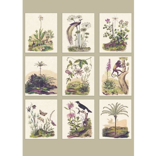 Casadeco Herbarium Wall Mural 83341466