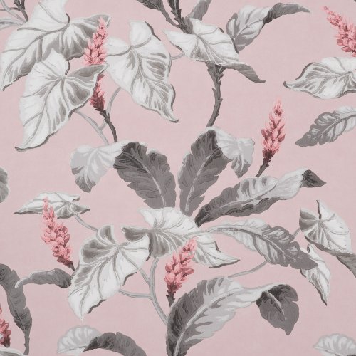 Crown Meridian Parade Pink and Grey Wallpaper showcasing botanical leaf and flower pattern