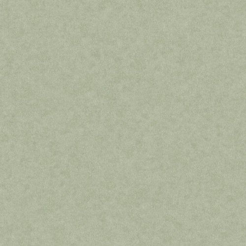 Crown Heritage Plain Green Wallpaper with subtle green hue from the Ashdown collection