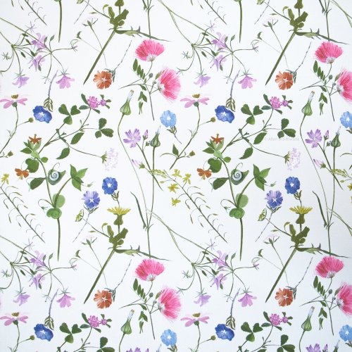 AS  Creation Wild Meadow WallpaperAS  Creation Wild Meadow Wallpaper 389012