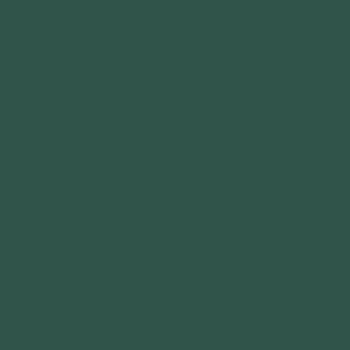 Vintage Car paint swatch in rich racing green