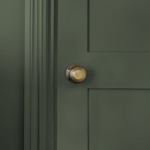 Close-up of Olive Character paint with chalky finish look