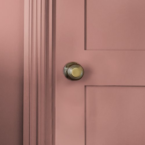 Close-up of Poached Rhubarb paint colour with blush undertone