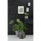 Graham & Brown Desire Black Wallpaper Room