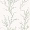 Laura Ashley Pussy Willow Sage Green Wallpaper featuring delicate willow branches and soft catkins in sage green against a light background