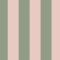 Canopy Stripe Green & Pink wallpaper with bold green and pink stripes