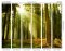 Origin Murals Spruce Forest Evergreen Mural Panels